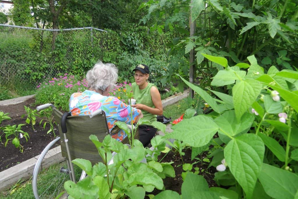 agriculture urbaine Urbainculteurs