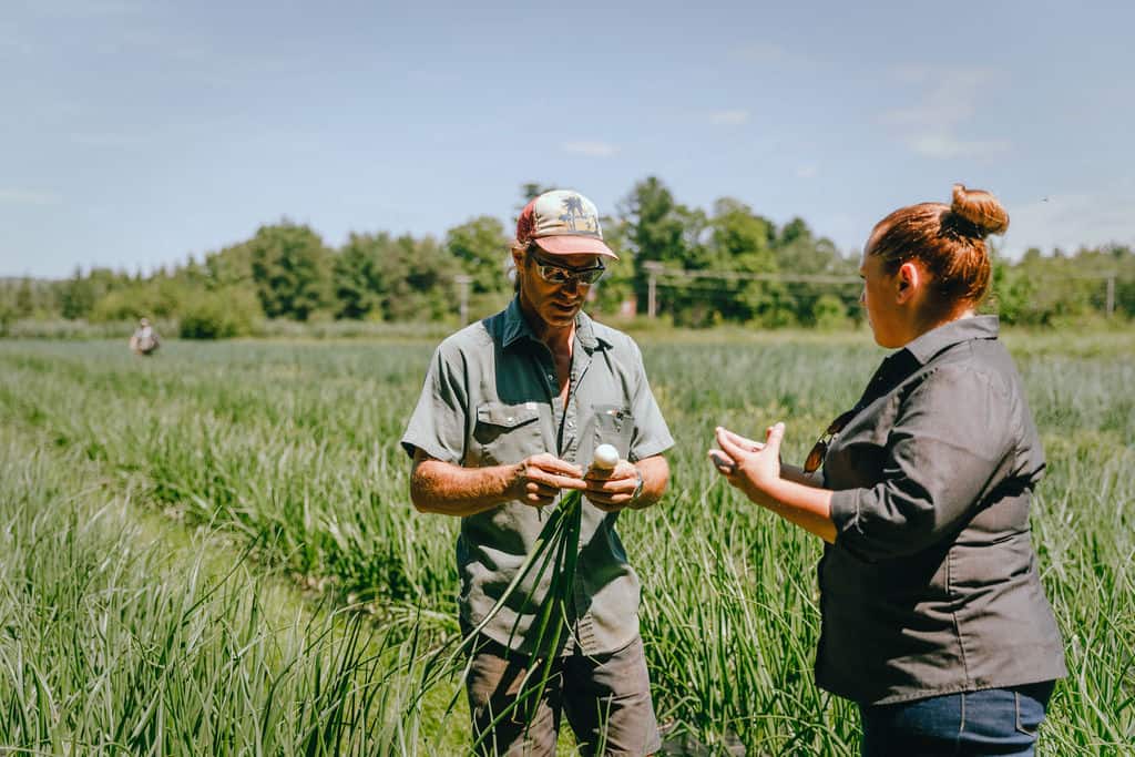 producteurs agricoles locaux